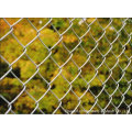 Fabricante PVC revestido Diamond Wire Mesh Fence (CLF004)